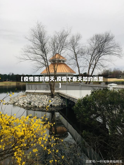 【疫情面前春天,疫情下春天如约而至】-第3张图片