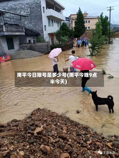 南平今日限号是多少号(南平今晚9点半今天)