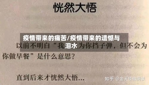 疫情带来的痛苦/疫情带来的遗憾与泪水-第3张图片