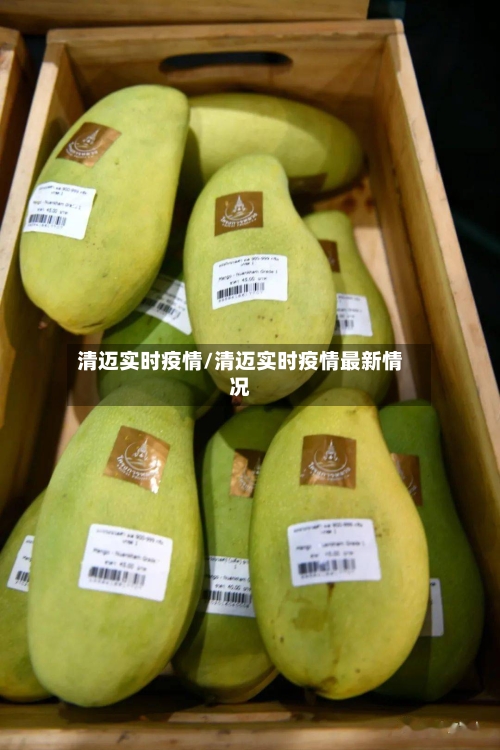 清迈实时疫情/清迈实时疫情最新情况