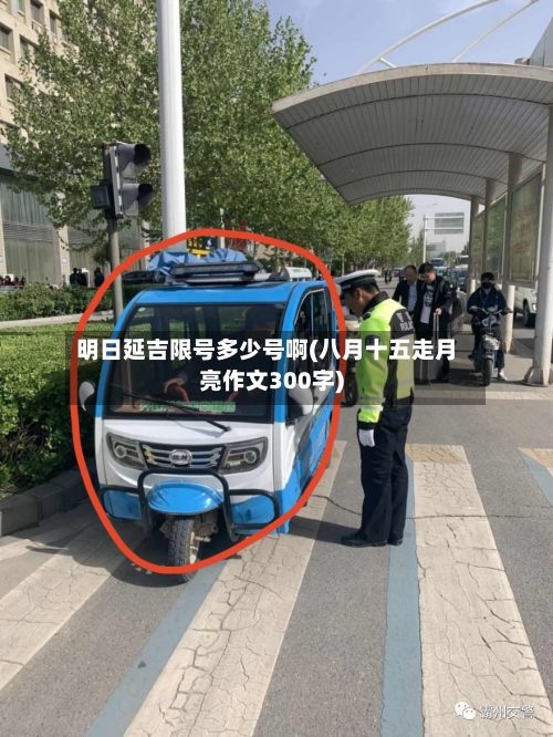 明日延吉限号多少号啊(八月十五走月亮作文300字)