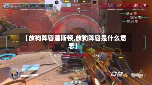 【放狗阵容温斯顿,放狗阵容是什么意思】-第2张图片