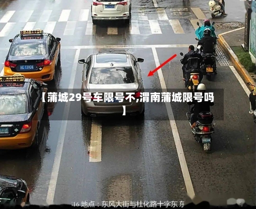 【蒲城29号车限号不,渭南蒲城限号吗】-第2张图片