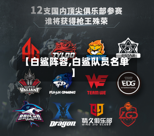 【白鲨阵容,白鲨队员名单】