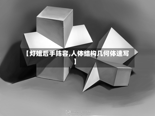 【灯姐后手阵容,人体结构几何体速写】