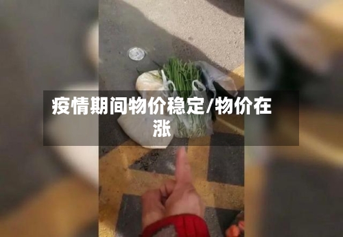 疫情期间物价稳定/物价在涨