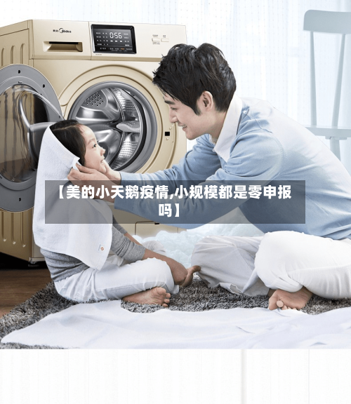 【美的小天鹅疫情,小规模都是零申报吗】-第2张图片