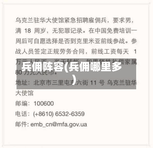 兵佣阵容(兵佣哪里多)
