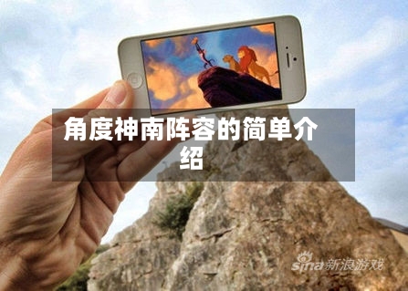 角度神南阵容的简单介绍