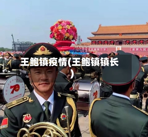 王鲍镇疫情(王鲍镇镇长)