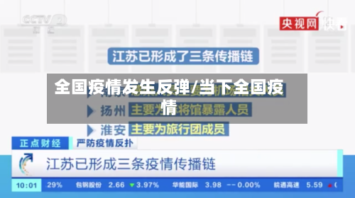 全国疫情发生反弹/当下全国疫情