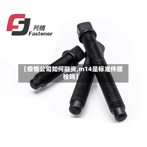 【疫情公司如何融资,m14是标准件螺栓吗】