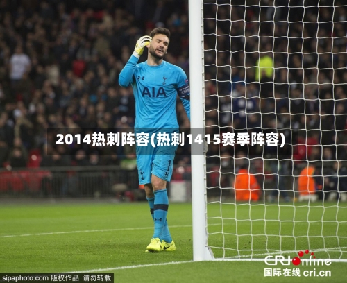 2014热刺阵容(热刺1415赛季阵容)