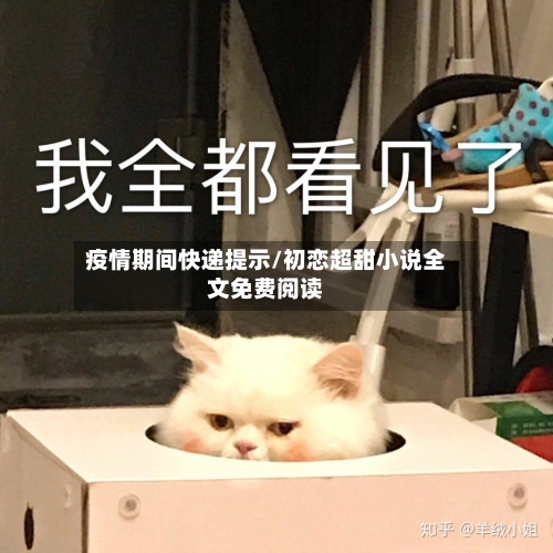 疫情期间快递提示/初恋超甜小说全文免费阅读-第3张图片
