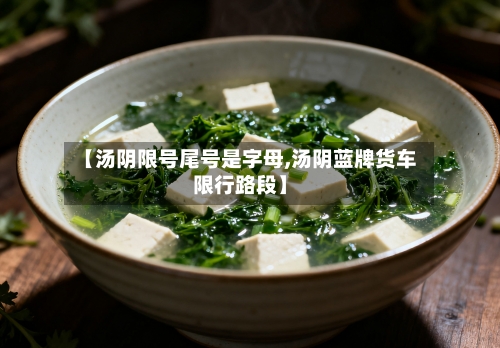 【汤阴限号尾号是字母,汤阴蓝牌货车限行路段】-第3张图片