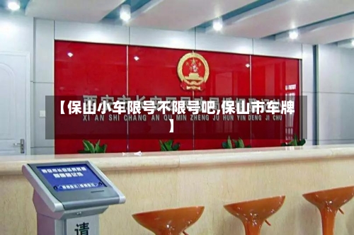 【保山小车限号不限号吧,保山市车牌】-第3张图片