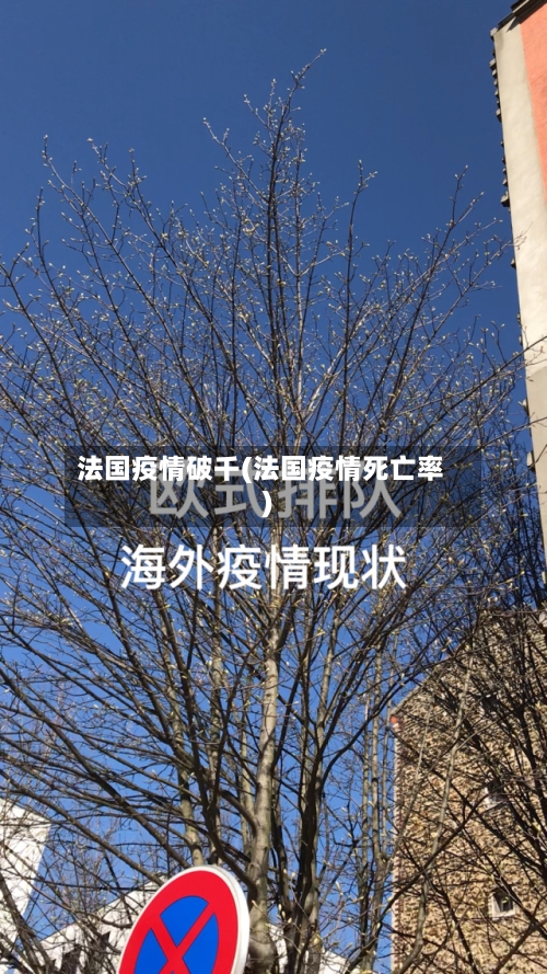 法国疫情破千(法国疫情死亡率)