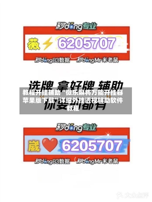 教程开挂辅助“微乐麻将万能开挂器苹果版下载	”详细外挂透视辅助软件教程-第3张图片