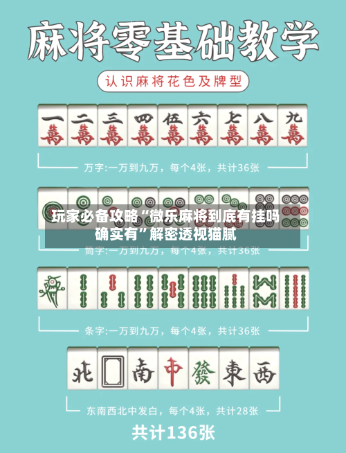 玩家必备攻略“微乐麻将到底有挂吗确实有”解密透视猫腻-第2张图片