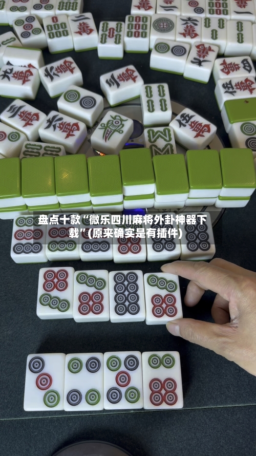 盘点十款“微乐四川麻将外卦神器下载”(原来确实是有插件)-第2张图片