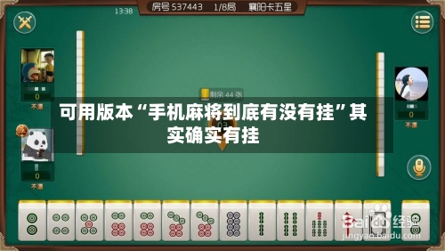 可用版本“手机麻将到底有没有挂”其实确实有挂-第2张图片