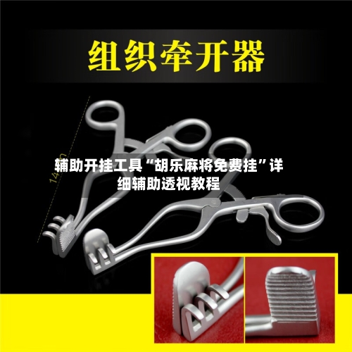 辅助开挂工具“胡乐麻将免费挂”详细辅助透视教程-第2张图片
