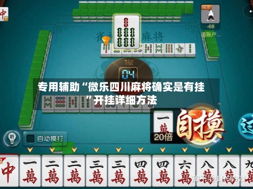 专用辅助“微乐四川麻将确实是有挂	”开挂详细方法-第2张图片