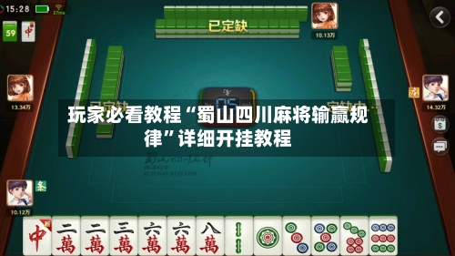 玩家必看教程“蜀山四川麻将输赢规律	”详细开挂教程-第2张图片