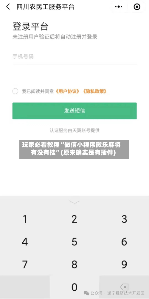 玩家必看教程“微信小程序微乐麻将有没有挂”(原来确实是有插件)-第3张图片