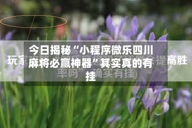 今日揭秘“小程序微乐四川麻将必赢神器”其实真的有挂-第2张图片