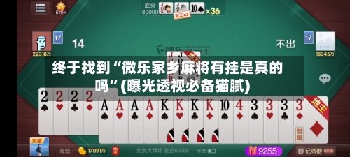 终于找到“微乐家乡麻将有挂是真的吗”(曝光透视必备猫腻)-第2张图片