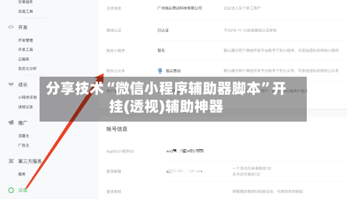 分享技术“微信小程序辅助器脚本”开挂(透视)辅助神器