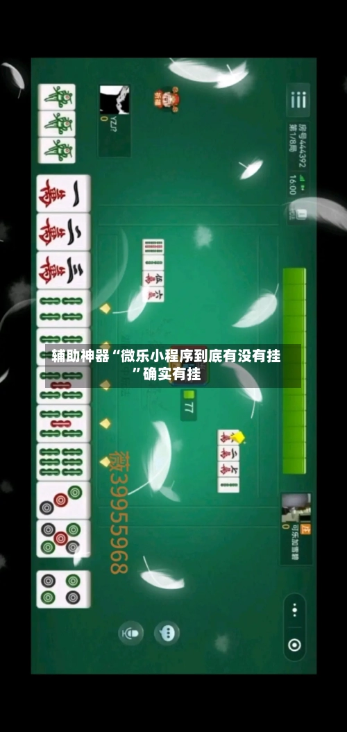 辅助神器“微乐小程序到底有没有挂	”确实有挂-第2张图片