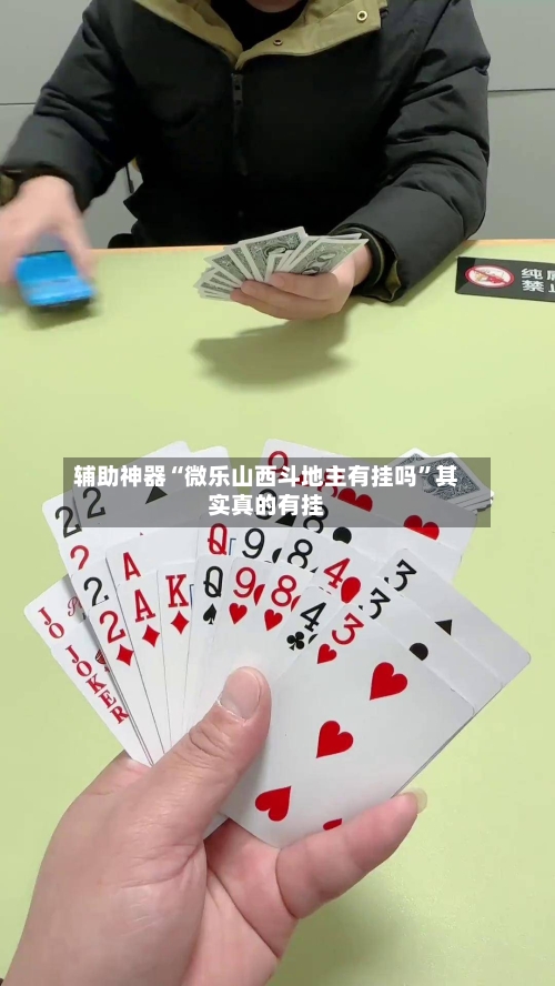 辅助神器“微乐山西斗地主有挂吗”其实真的有挂-第2张图片