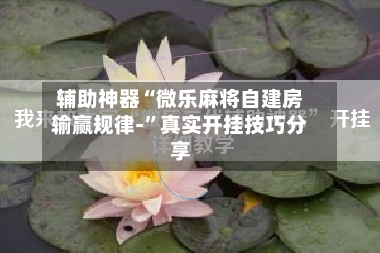 辅助神器“微乐麻将自建房输赢规律-”真实开挂技巧分享