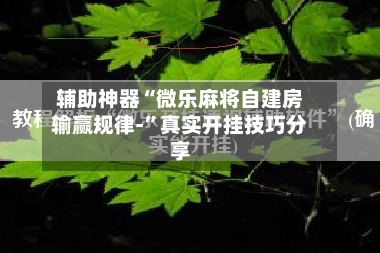 辅助神器“微乐麻将自建房输赢规律-”真实开挂技巧分享-第3张图片