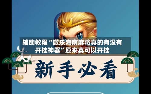 辅助教程“微乐海南麻将真的有没有开挂神器”原来真可以开挂-第3张图片