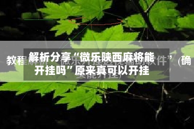 解析分享“微乐陕西麻将能开挂吗”原来真可以开挂-第1张图片