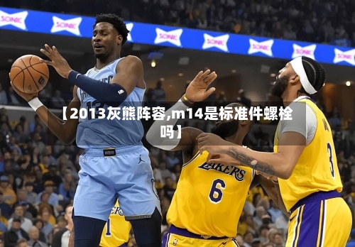 【2013灰熊阵容,m14是标准件螺栓吗】-第3张图片