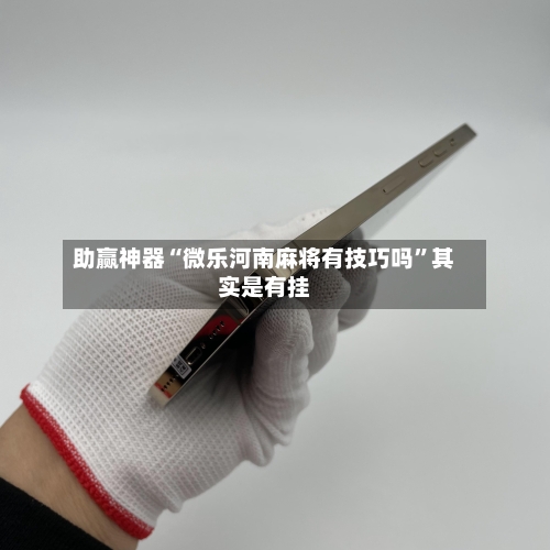 助赢神器“微乐河南麻将有技巧吗”其实是有挂-第2张图片