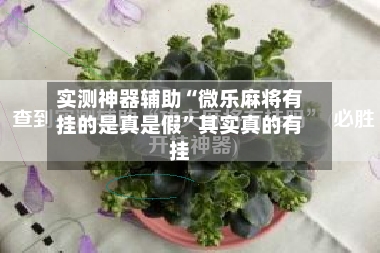 实测神器辅助“微乐麻将有挂的是真是假”其实真的有挂