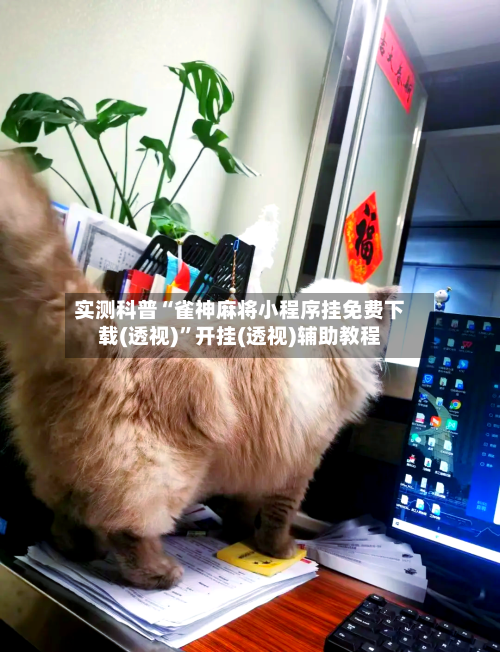实测科普“雀神麻将小程序挂免费下载(透视)”开挂(透视)辅助教程-第2张图片