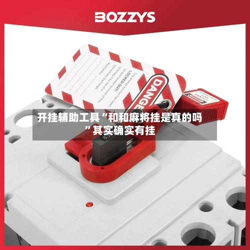 开挂辅助工具“和和麻将挂是真的吗”其实确实有挂