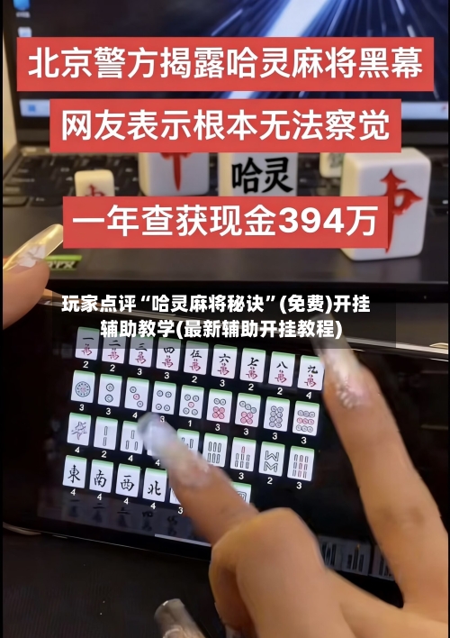 玩家点评“哈灵麻将秘诀”(免费)开挂辅助教学(最新辅助开挂教程)-第3张图片