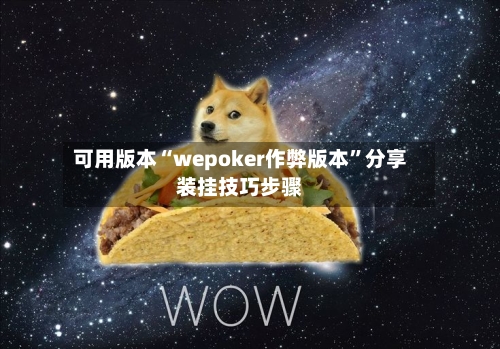 可用版本“wepoker作弊版本”分享装挂技巧步骤-第2张图片