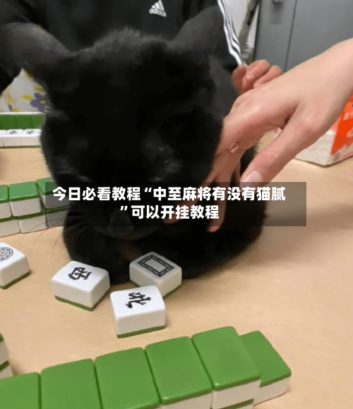 今日必看教程“中至麻将有没有猫腻	”可以开挂教程-第1张图片