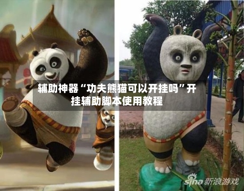 辅助神器“功夫熊猫可以开挂吗”开挂辅助脚本使用教程