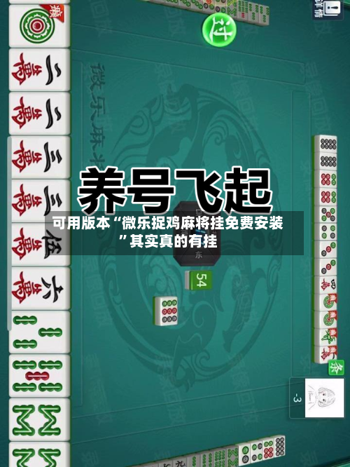 可用版本“微乐捉鸡麻将挂免费安装	”其实真的有挂-第2张图片
