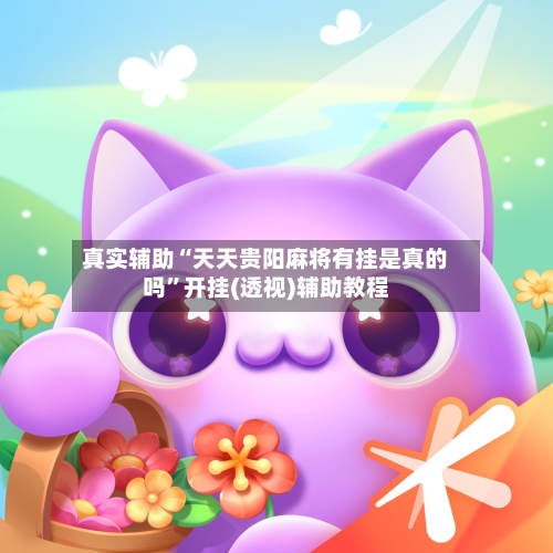 真实辅助“天天贵阳麻将有挂是真的吗”开挂(透视)辅助教程-第3张图片