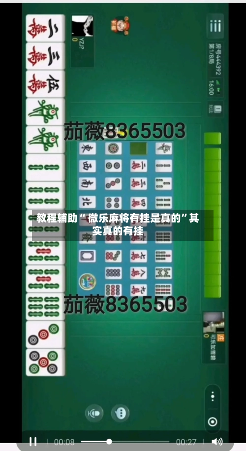 教程辅助“ 微乐麻将有挂是真的	”其实真的有挂-第3张图片